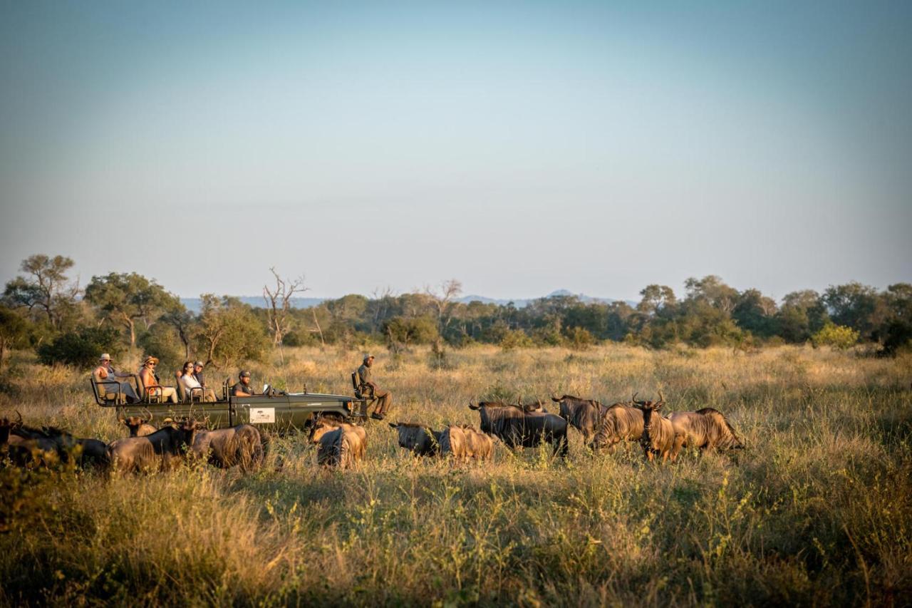 Umkumbe Bush Lodge - Luxury Tented Camp Sabi Sand Game Reserve Buitenkant foto