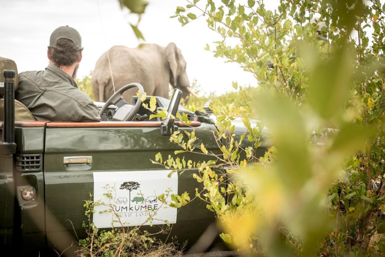 Umkumbe Bush Lodge - Luxury Tented Camp Sabi Sand Game Reserve Buitenkant foto