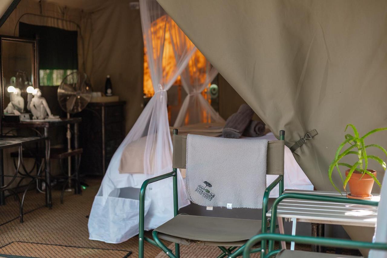 Umkumbe Bush Lodge - Luxury Tented Camp Sabi Sand Game Reserve Buitenkant foto
